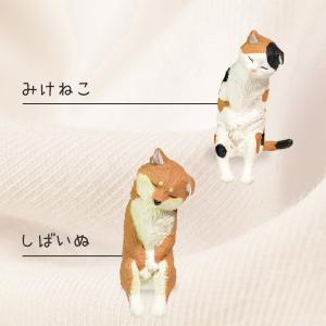 ガチャ ガチャガチャ コンプリート 中身 動物...の詳細画像2
