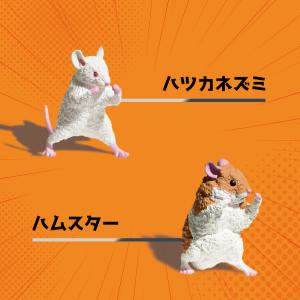 ガチャ ガチャガチャ コンプリート 中身 動物...の詳細画像3