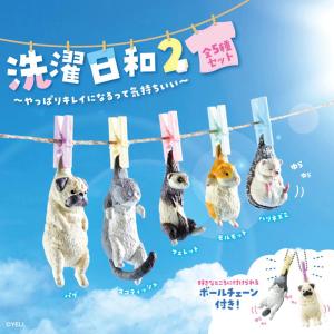 ガチャ ガチャガチャ コンプリート 中身 犬 猫 いぬ ねこ パグ スコティッシュ フェレット モルモット ハリネズミ 洗濯日和2 5種類セット