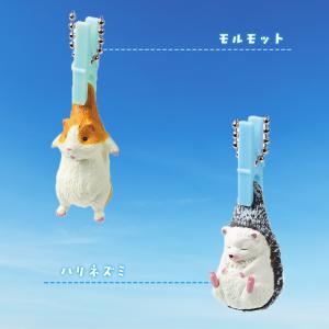 ガチャ ガチャガチャ コンプリート 中身 犬 ...の詳細画像3