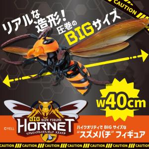 フィギュア 虫 昆虫 大きい リアルBIGサイ...の詳細画像1