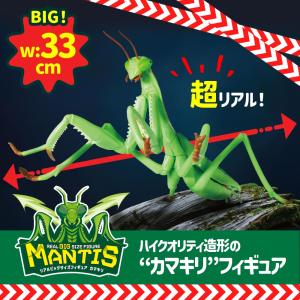 フィギュア 虫 昆虫 大きい リアルBIGサイ...の詳細画像3