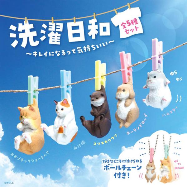 ガチャ ガチャガチャ コンプリート 中身 猫 ねこ 三毛猫 エキゾチックショートヘア コツメカワウソ...