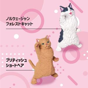 ガチャガチャ [ NYAoooo!! 2 ] ...の詳細画像3
