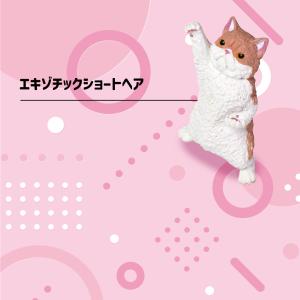 ガチャガチャ [ NYAoooo!! 2 ] ...の詳細画像4