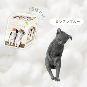 ガチャ ガチャガチャ コンプリート 中身 猫グ...の詳細画像1
