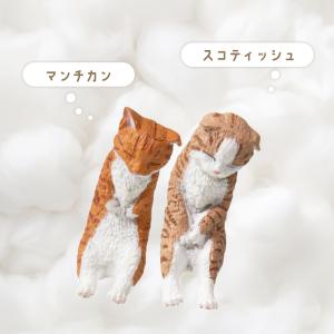 ガチャ ガチャガチャ コンプリート 中身 猫グ...の詳細画像2