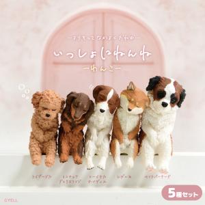 ガチャ ガチャガチャ コンプリート 中身 犬グッズ 犬 フィギュア 小物 置物 プレゼント 可愛い 柴犬 ダックス プードル いっしょにねんね わんこ 5種セット