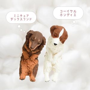 ガチャ ガチャガチャ コンプリート 中身 犬グ...の詳細画像2