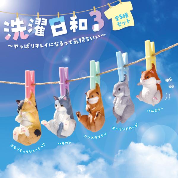 ガチャ ガチャガチャ コンプリート 中身 フィギュア おもちゃ 猫 ねこ ハチワレ コツメカワウソ ...