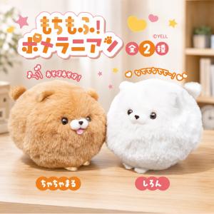 もちもふ！ ポメラニアン ぬいぐるみ グッズ 全2種 約10.5cm ちゃちゃ