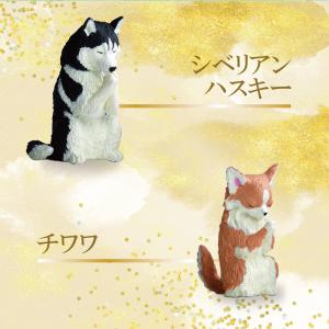 ガチャガチャ コンプリート 犬 いぬ 動物 合...の詳細画像2