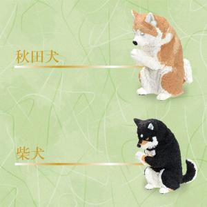 [ポイント12倍] ガチャ ガチャガチャ 犬 ...の詳細画像2