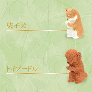 [ポイント12倍] ガチャ ガチャガチャ 犬 ...の詳細画像3