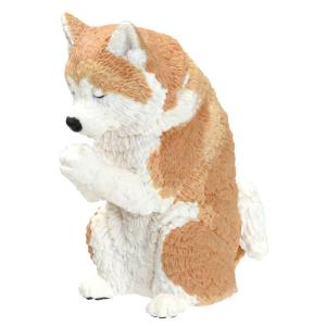 [ポイント12倍] ガチャ ガチャガチャ 犬 ...の詳細画像5