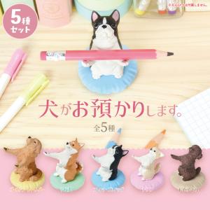 ガチャ ガチャガチャ コンプリート 中身 フィギュア おもちゃ 犬 いぬ 柴犬 チワワ トイプードル フレンチブルドッグ 犬がお預かりします 5種類セット