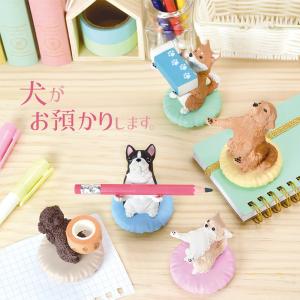 ガチャ ガチャガチャ コンプリート 中身 フィ...の詳細画像1