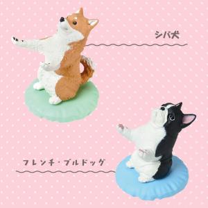 ガチャ ガチャガチャ コンプリート 中身 フィ...の詳細画像4