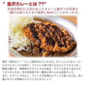 チャンピオンカレー レトルト 中辛 セット 詰...の詳細画像3