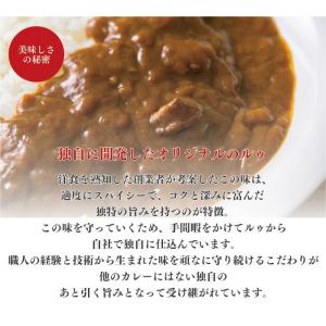 チャンピオンカレー レトルト 中辛 セット 詰...の詳細画像4