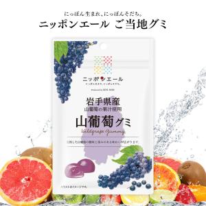 全農 ご当地グミ ニッポンエール 山形県産 月山ぶどうグミ ご当地 お