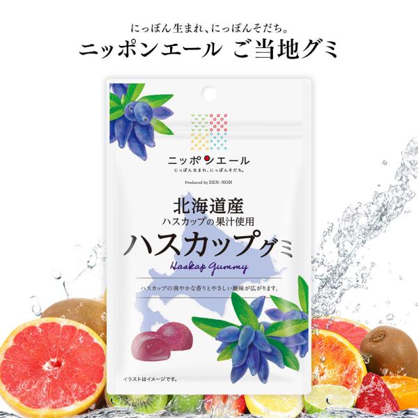 ご当地グミ ニッポンエール 北海道産 ハスカップグミ ご当地 お菓子 グルメ お土産 名産 果実グミ...