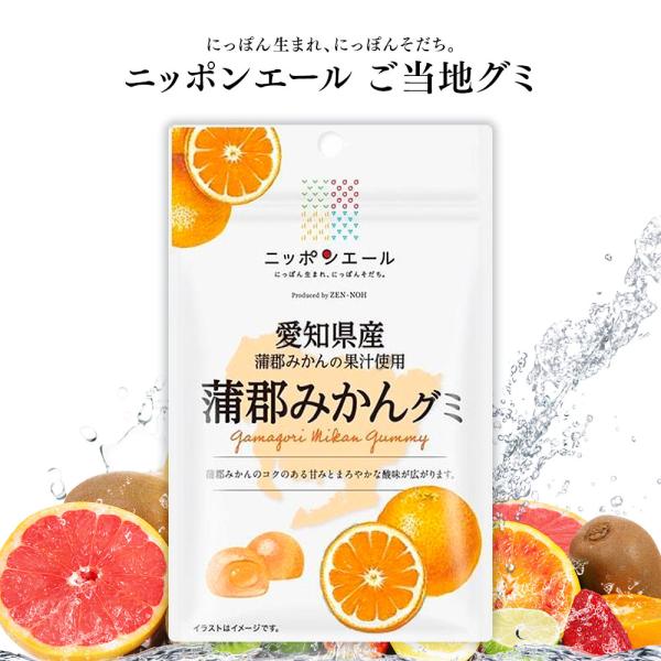 ご当地グミ ニッポンエール 愛知県産 蒲郡みかんグミ ご当地 お菓子 グルメ お土産 名産 果実グミ...