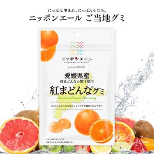 全農 ご当地グミ ニッポンエール 岐阜県飛騨産 飛騨りんごグミ ご当地