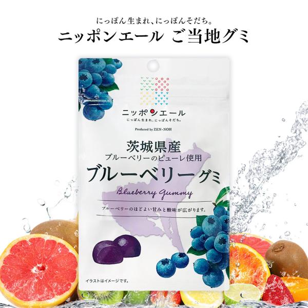【新商品】ご当地グミ ニッポンエール 茨城県産 ブルーベリーグミ ご当地 お菓子 グルメ お土産 名...