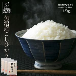 コシヒカリ お米 20kg 白米 送料無料 安い 極上魚沼産コシヒカリ コシヒカリ お米 20kg 白米 送料無料 安い 極上魚沼産コシヒカリ