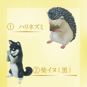 ガチャ ガチャガチャ 動物 フィギュア コンプ...の詳細画像5
