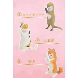 ガチャ ガチャガチャ 動物 フィギュア コンプ...の詳細画像2