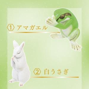 ガチャ ガチャガチャ 動物 フィギュア コンプ...の詳細画像3