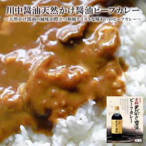 レトルトカレー 1個 惣菜 食品 保存食 常温保存 長期保存 広島県 ご当地 川中醤油 牛肉 ビーフカレー 200g