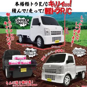 ラジコンカー 子供 車 スズキ キャリー SU...の詳細画像1