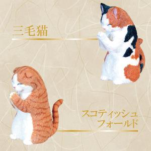 ガチャ ガチャガチャ コンプリート 猫 ネコ ...の詳細画像2