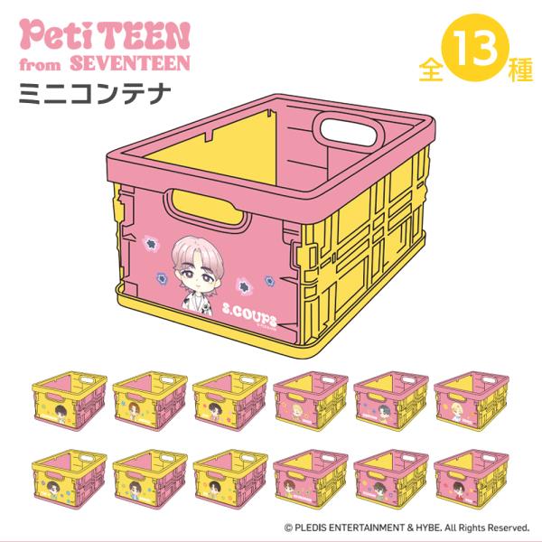 PetiTEEN 折りたたみミニコンテナ 13種