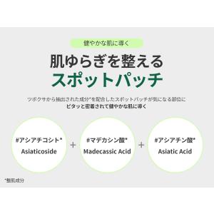 VT プロシカ クリア スポットパッチ パッチ...の詳細画像3