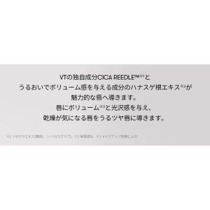 VT リードルS リッププランパービギナーの詳細画像3