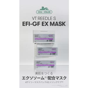 VT リードルS EFI-GF EXマスク(2...の詳細画像2