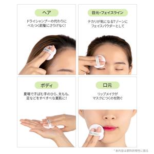 VT シカ ノーセバム マイルド パウダー V...の詳細画像4
