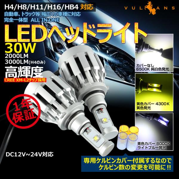一体型 LEDヘッドライト HB4/9006 12V/24V CREE XM-L2 2000LM ケ...