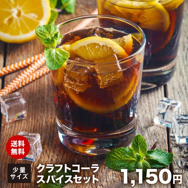 クラフトコーラ 少量スパイスセット 【送料無料】チャック付袋入り スパイス  ブラックペッパー カル...