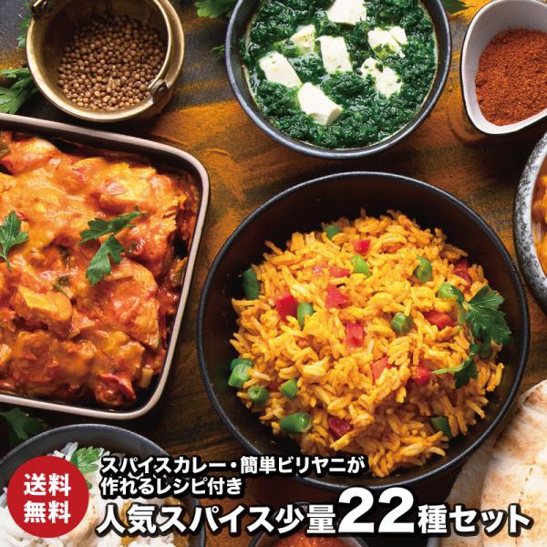 【レシピ付】チャック付袋入 人気スパイス 少量  22種 セット スパイスカレー ポークビンダルー
