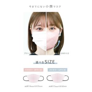 マスク 3D 不織布 40枚 大容量 バイカラ...の詳細画像4