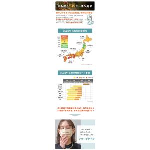マスク プリーツ 不織布マスク 50枚 145...の詳細画像1