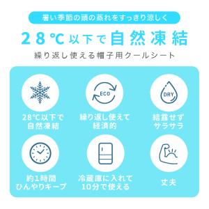 帽子用保冷剤 シート 帽子用 ヘッド ひんやり...の詳細画像3