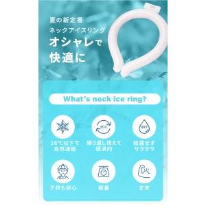 ネッククーラー 2層リング アイスクールネック...の詳細画像2