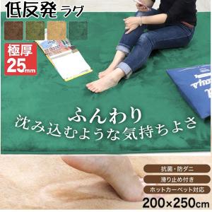 ラグ 厚手 カーペット 3.2畳 全4色 200x250cm 極厚25mm ラグマット 低反発ウレタン フランネル生地 絨毯 抗菌 防ダニ 新生活 WEIMALL｜w-class