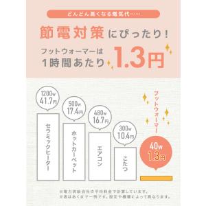 フットウォーマー 電気足温器 3WAY 足置き...の詳細画像4